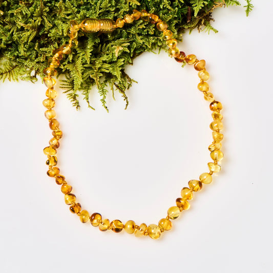 Baltic Amber Necklace - Polished Honey - Children's