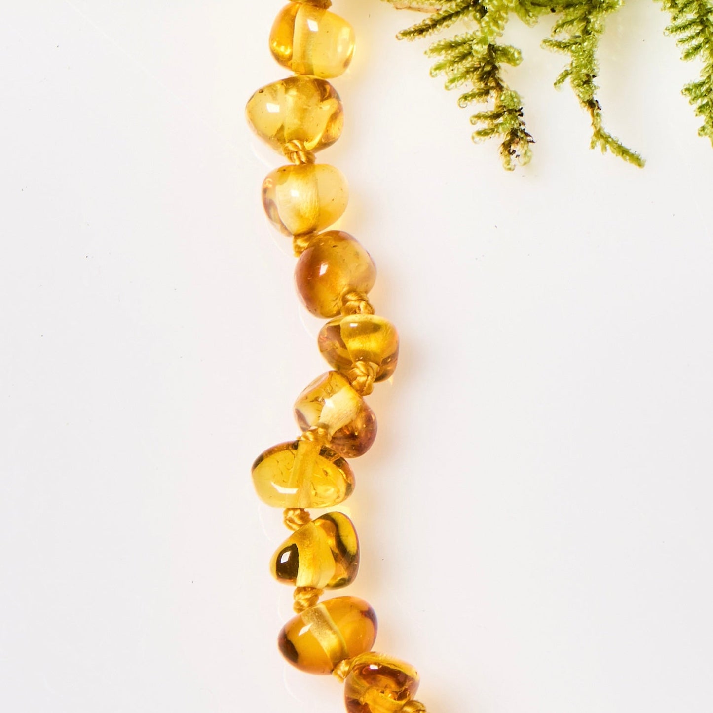 Baltic Amber Necklace - Polished Honey - Children's